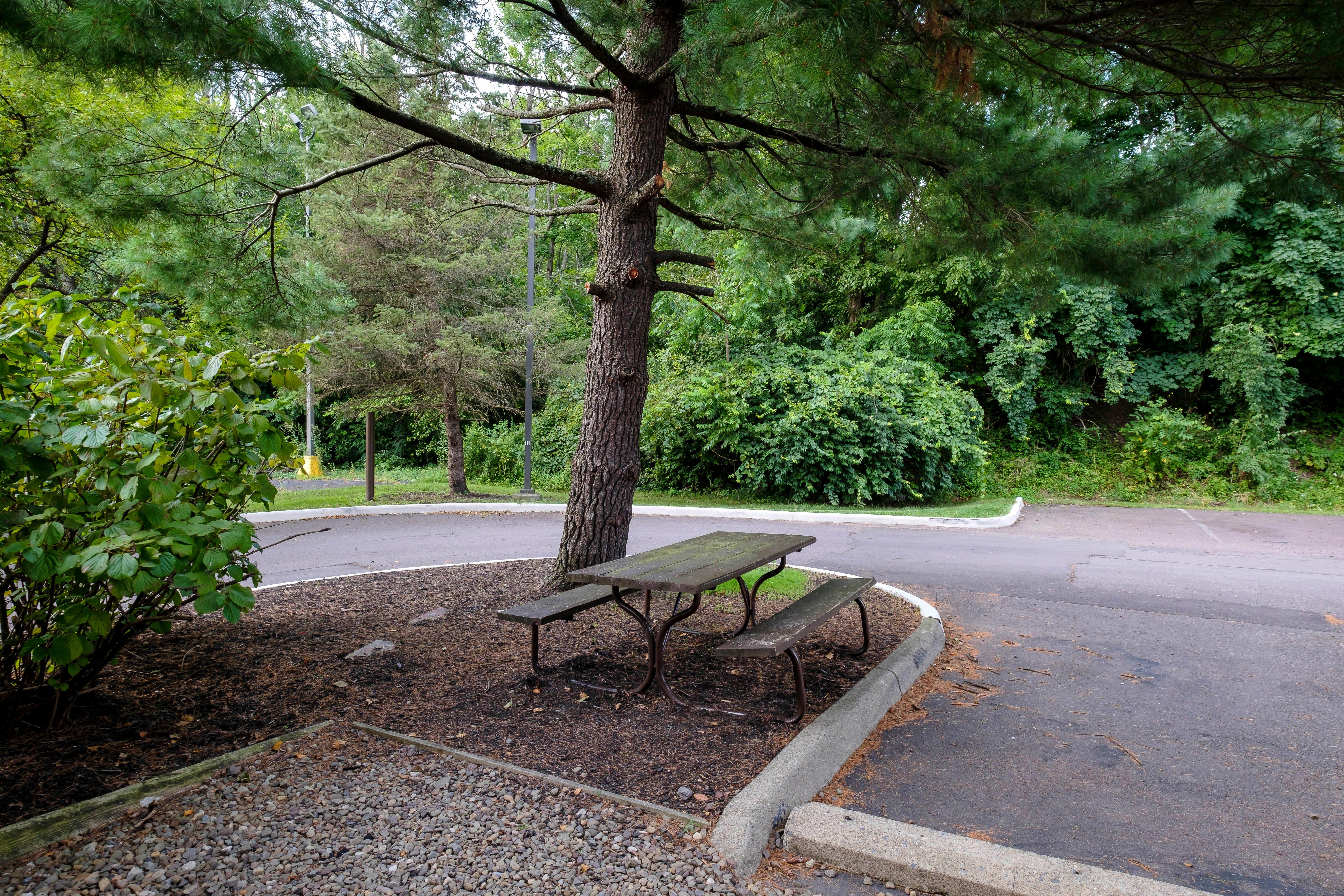 Red Roof Inn Danville, Pa Экстерьер фото